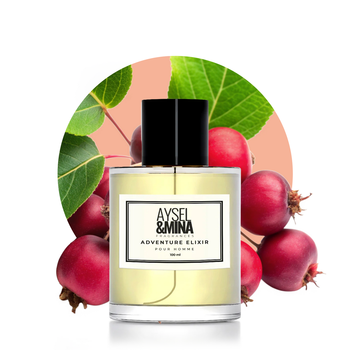 Adventure Elixir– Aysel&Mina